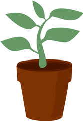 Lush Green Houseplant in a Minimalist Pot