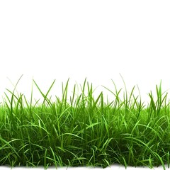 Fototapeta premium Fresh Green Grass Close-Up with Vibrant Texture and Detail