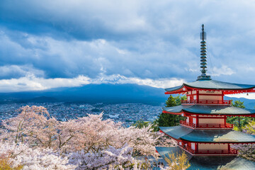 Fujiyoshida, Yamanashi, Japan - APR 17, 2024: Arakura Fuji Sengen Jinja Shrine. Mt Fuji with red pagoda in cherry blossom sakura in spring season .
