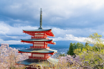 Fujiyoshida, Yamanashi, Japan - APR 17, 2024: Arakura Fuji Sengen Jinja Shrine. Mt Fuji with red pagoda in cherry blossom sakura in spring season .