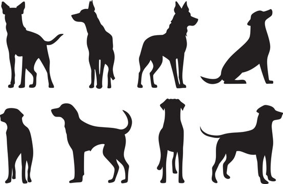 Dog Silhouettes images. Silhouette of dogs isolated on transparent background