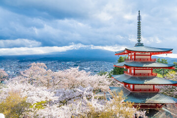 Fujiyoshida, Yamanashi, Japan - APR 17, 2024: Arakura Fuji Sengen Jinja Shrine. Mt Fuji with red pagoda in cherry blossom sakura in spring season .