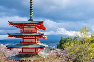 Fujiyoshida, Yamanashi, Japan - APR 17, 2024: Arakura Fuji Sengen Jinja Shrine. Mt Fuji with red pagoda in cherry blossom sakura in spring season .