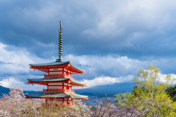 Fujiyoshida, Yamanashi, Japan - APR 17, 2024: Arakura Fuji Sengen Jinja Shrine. Mt Fuji with red pagoda in cherry blossom sakura in spring season .