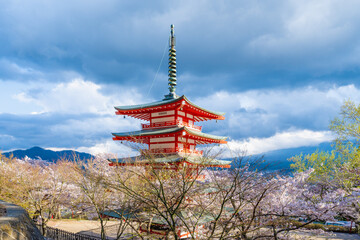 Fujiyoshida, Yamanashi, Japan - APR 17, 2024: Arakura Fuji Sengen Jinja Shrine. Mt Fuji with red pagoda in cherry blossom sakura in spring season .