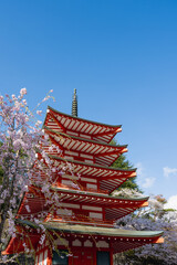 Fujiyoshida, Yamanashi, Japan - APR 17, 2024: Arakura Fuji Sengen Jinja Shrine. Mt Fuji with red pagoda in cherry blossom sakura in spring season .