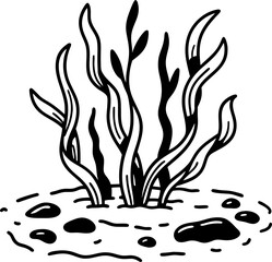 Seaweed illustration ocean botanical line art, black and white marine plant sketch