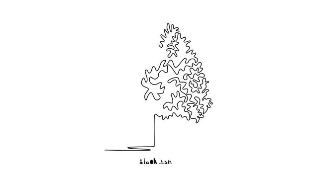 Black Ash. Tree and flower concept. Single line draw design. Full length animation illustration. High quality 4k footage