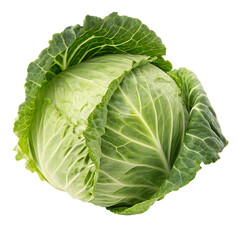 Obraz premium Cabbage isolated on white background