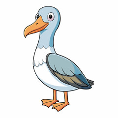 albatross in a white background