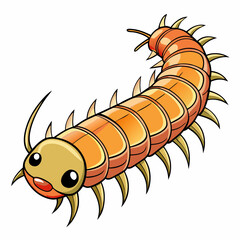 centipede on white background