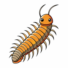 centipede on white background