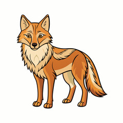 coyote cartoon isolated on white