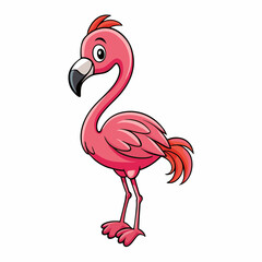 flamingo vector illustration