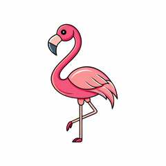 flamingo vector illustration