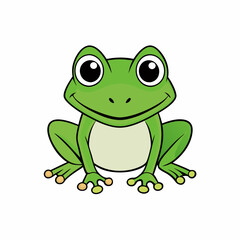 frog on white background