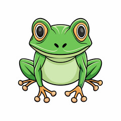 frog on white background