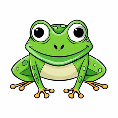 frog on white background