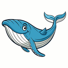 whale vector illustration