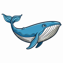 whale vector illustration