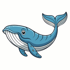 whale vector illustration
