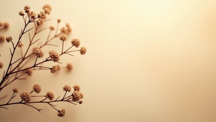 Dry flowers design on beige background viewed from above.