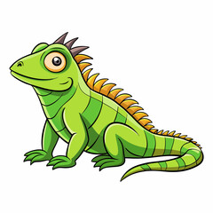 green iguana on white