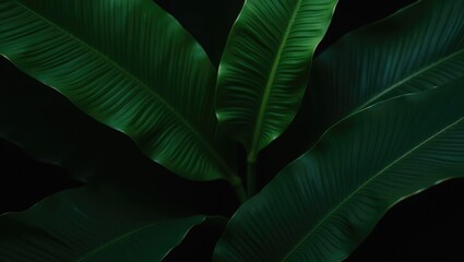 Obraz premium Abstract bold green leaves texture backdrop, elegant tropical leaf features, nature wallpaper, vintage hue, deep shading, foliage, ecology concept, dark moody ambiance, refined, elegance. leaf