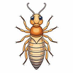 vector illustration of a termite