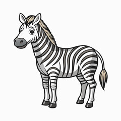 zebra vector illustration