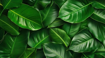 Lush green leaves create a vibrant, natural pattern, ideal for nature-themed projects.