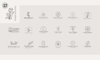 botanical floral element Logo branding set icon vector template
