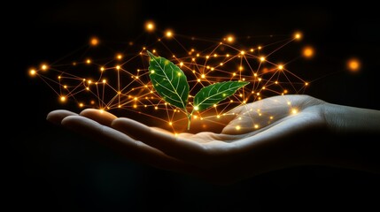 Eco-friendly brands can use photo-realistic digital marketing strategies that harness data analytics and green technology to advocate for sustainability and minimize environmental impact