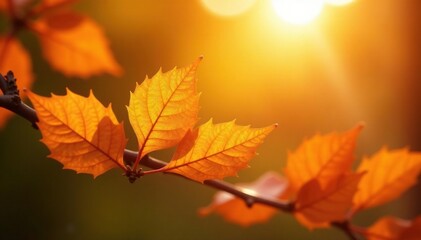 Fototapeta premium Delicate leaves rustle in gentle breeze under bright orange light, branch, sunlight, wind