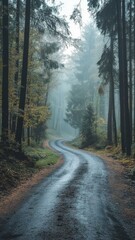Obraz premium Misty Forest Road in Autumn: A Serene and Moody Landscape