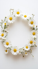 Obraz premium Delicate Daisy Wreath on White Background 
