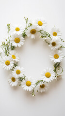 Obraz premium Delicate Daisy Wreath on White Background 