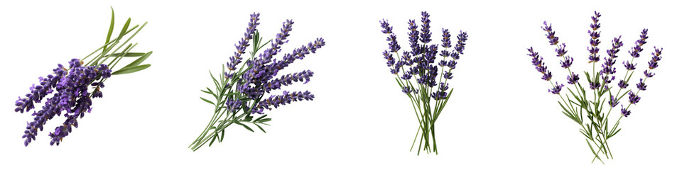 Closeup view of a beautiful bouquet of freshly cut fragrant lavender flowers arranged on a rustic wooden background  The soothing purple hues and natural organic feel create a serene