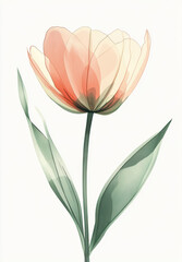 Simple abstract watercolor buttercups with minimal details soft pink petals on a light cream background