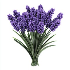 Naklejka premium Bouquet of bright deep lavender flowers isolated on clear white background