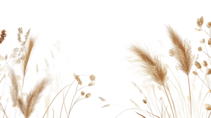 beige line art of herbs isolated on white background