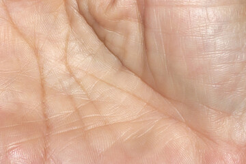 Extreme Close-Up of Human Palm Showing Skin Texture and Fine Lines