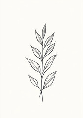 Fototapeta premium A minimalist single-line drawing of an evergreen leaf, simple and elegant, set against a white background for easy engraving.