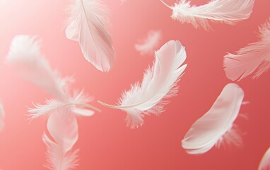 Floating delicate white feathers on a soft pastel pink background