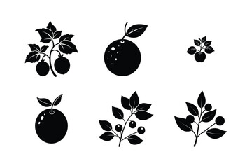 Fruits Silhouette Vector Illustrations  Bundle