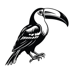 Fototapeta premium black silhouette of a toucan