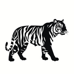 Obraz premium black silhouette of a tiger