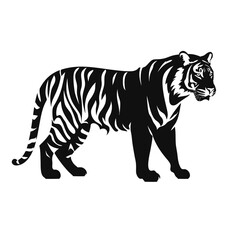 Fototapeta premium black silhouette of a tiger