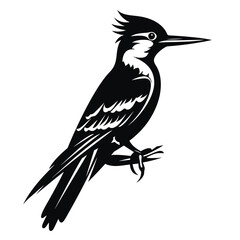 Obraz premium black silhouette of a woodpecker