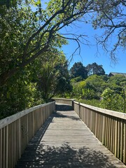 Nature Bridge Walk